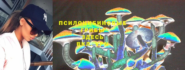 круглые Алзамай
