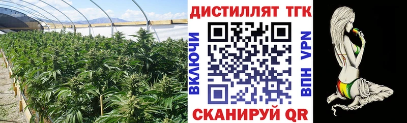 ТГК концентрат  как найти закладки  Владивосток 