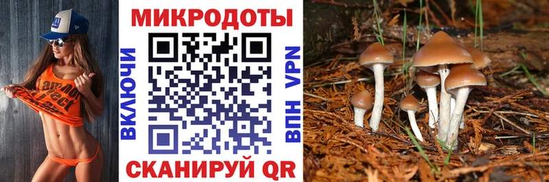 Галлюциногенные грибы мицелий  Владивосток 